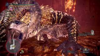 MHW CB SAED spam [upl. by Weed]