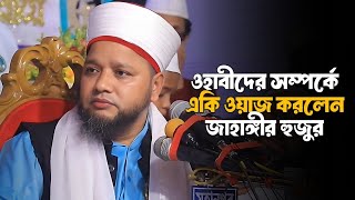 ওহাবীদের সম্পর্কে একি ওয়াজ করলেন জাহাঙ্গীর হুজুর  Jahangir Hujur  Bangla Waz Mahfil 2024 [upl. by Ayn]