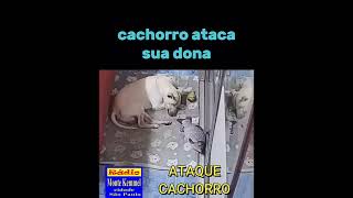 ATAQUE DE CACHORRO  VEJA OS ERROS DA DONA [upl. by Reseda]