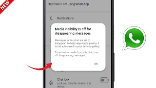 Whatsapp Media visibility is off for Disappearing messages  Whatsapp Media Not Showing in Gallery [upl. by Nylyaj]