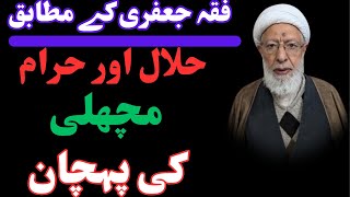 FIQHI JAFFARI K MUTABIQ  HALAL OR HARAM MASHLE FISH  KI PEHCHAN allama shifa najafi [upl. by Anoval882]