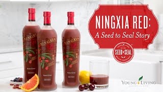 Ningxia Red A Seed to Seal Story  Young Living Essential Oils [upl. by Liu]