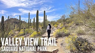 Valley View Overlook Trail  Saguaro National Park  Short Arizona Trail [upl. by Leban620]