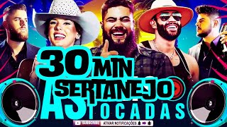 30 MINUTOS DE SERTANEJO  OS MELHORES SERTANEJO 2024 [upl. by Nybbor]