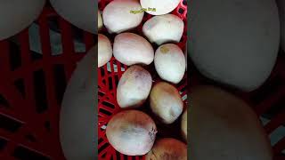 Street Food sapodilla fruit Shorts Dessert Streetfood [upl. by Eimyaj]