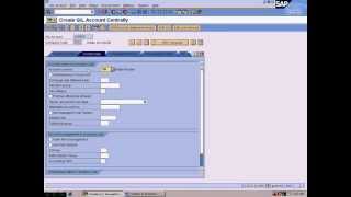 SAP FI FS00 GL MASTERS CREATION  400100 salaries account  400300 rent account [upl. by Eneleh]