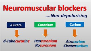 Nondepolarising Neuromuscular blockers  Mechanism actions amp side effects [upl. by Eimak]