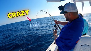 Insane offshore fishing tossing out live bait [upl. by Anika]