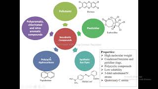 Biodegradation of Xenobiotics [upl. by Neelahtak]