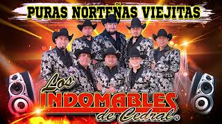 Puras Norteñas Viejitas mix Para Bailar  Los Indomables De Cedral mix Exitos 🎶🎶🎶 [upl. by Einre999]