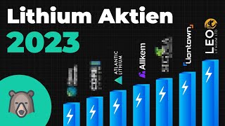 TOP 8 Lithium Aktien für die nächsten Jahre [upl. by Rattan]