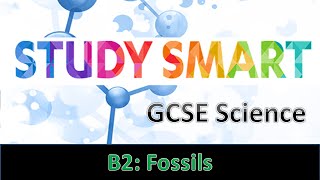 B2 Fossils EDEXCEL [upl. by Alekin]