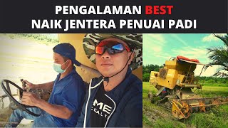 Jentera Penuai Padi di Kota Marudu Sabah [upl. by Jereld]