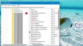 How to Fix High CPU and Memory Usage by wsappx [upl. by Oneill173]