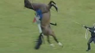 A RACE HORSE JUMPS AND DOES A BACKFLIP UNBELIEVABLE NEARLY LANDS ON JOCKEY [upl. by Naujit]