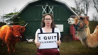 Everything We’ve Quit Homesteading and Why [upl. by Amsed]