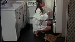 Documentary on Breakfast At Tiffanys movie [upl. by Stig682]