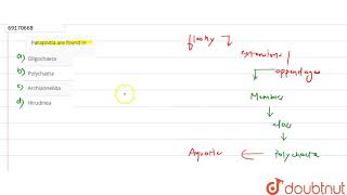 Parapodia are found in [upl. by Adel]