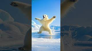 Polar Bear Dance Party polarbear polarbearjourney polarbeardance animals AvianAnimalAdventures [upl. by Biamonte]