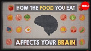 How the food you eat affects your brain  Mia Nacamulli [upl. by Koralle]