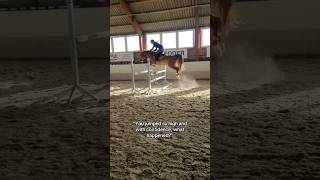 Keep going 🔥❤️‍🔥 equestrian horse horses pony pferde cheval hest trending funny hest [upl. by Ydner378]