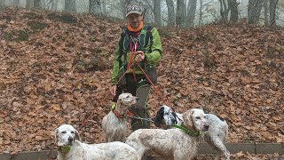 Beccacce con Antonio Tufaro e i suoi setter una giornata sfortunata [upl. by Sairtemed]