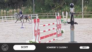 SCOTT  CSO Biarritz [upl. by Ayle541]