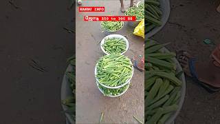 💥🌱🍆 காய்கறி மார்க்கெட் காய்கறி வியாபாரம் 🌱🍆💥 hanbuinfo5184 [upl. by Berliner]