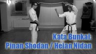 Kata Bunkai Pinan Shodan Heian Nidan [upl. by Acenes]