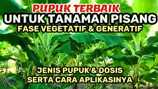 Pupuk Terbaik Untuk Tanaman Pisang Pada Fase Vegetatif Dan Generatif [upl. by Geneva]