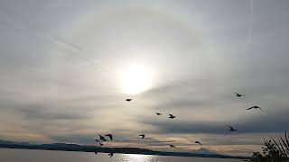 Time Lapse of Sunrise Parhelion [upl. by Aleahpar]