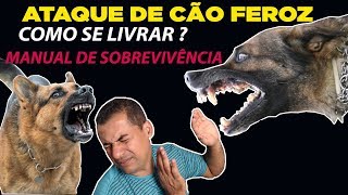 ATAQUE DE CÃO FEROZ  COMO SE LIVRAR [upl. by Matthaeus]