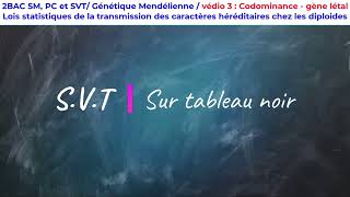 Exercice 3 codominance gène létal et dihybridisme 2BAC [upl. by Nerej]