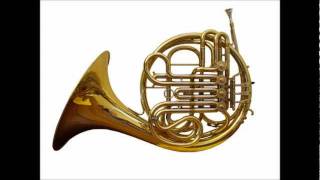 Mozart  Horn Concerto No 2 in E flat K 417 complete [upl. by Euqinahc]