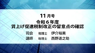 月刊DVD 速報・税務セミナー 2024年11月号「令和6年度 賃上げ促進税制改正の留意点の確認」ダイジェスト [upl. by Hogan814]