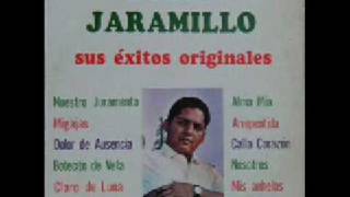 JULIO JARAMILLO  pasionarias [upl. by Notsniw]