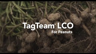 Introducing TagTeam® LCO for Peanuts [upl. by Depoliti]