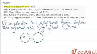 Plasmodesmata are \nA Cytoplasmic bridges between\nadjacent cells \nB Sac like structures of [upl. by Nevar498]