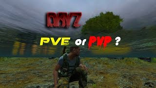 DayZ  PVE or PVP [upl. by Perreault]