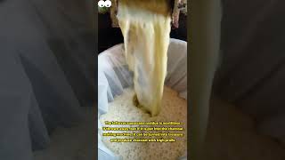 How to make charcoal from sugarcane bagasse [upl. by Savdeep]