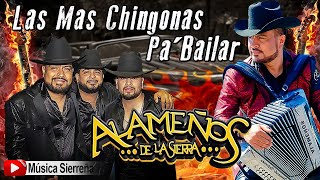 POPURRI ALAMEÑOS DE LA SIERRA  LAS MAS CHINGONAS PA BAILAR MIX 2025 [upl. by Dias]