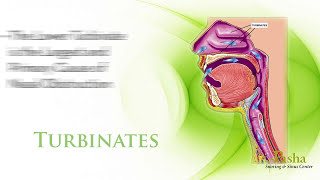 Radiofrequency Turbinate Reduction  Nasal Congestion amp Nasal Blockage Treatment [upl. by Niai295]