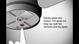 Garbage Disposal Not WorkingHumming  EASY FIX [upl. by Sihtnyc]