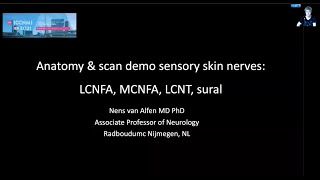 ICCNMI2021 Anatomy and scan demo of the small sensory nerves of the upper and lower limb [upl. by Roye]