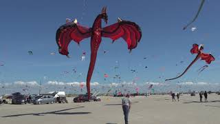 1000s of flying kites on the beach Fanø Denmark 🇩🇰 [upl. by Ahseekan215]