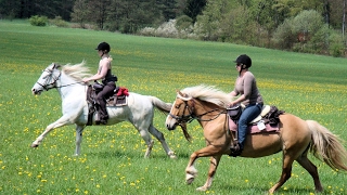 Westernreiten in Deutschland mit PFERD amp REITER [upl. by Sakhuja]