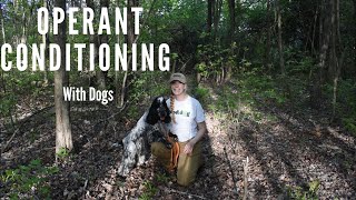 OPERANT CONDITIONING  UNDERSTANDING DOG TRAINING [upl. by Ailaht181]