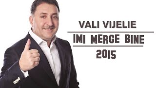 VALI VIJELIE  Imi merge bine AUDIO OFICIAL 2015 [upl. by Roda]