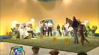 Dogdance Umbria TV 842011  MIA Mondo intorno agli animali [upl. by Chester]