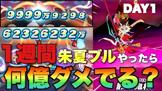 【ぷにぷに】ライザーで8位取ったスコアタ勢が朱夏ブル1週間練習したら何億ダメージでる？【妖怪ウォッチぷにぷに】 [upl. by Notsnarc]